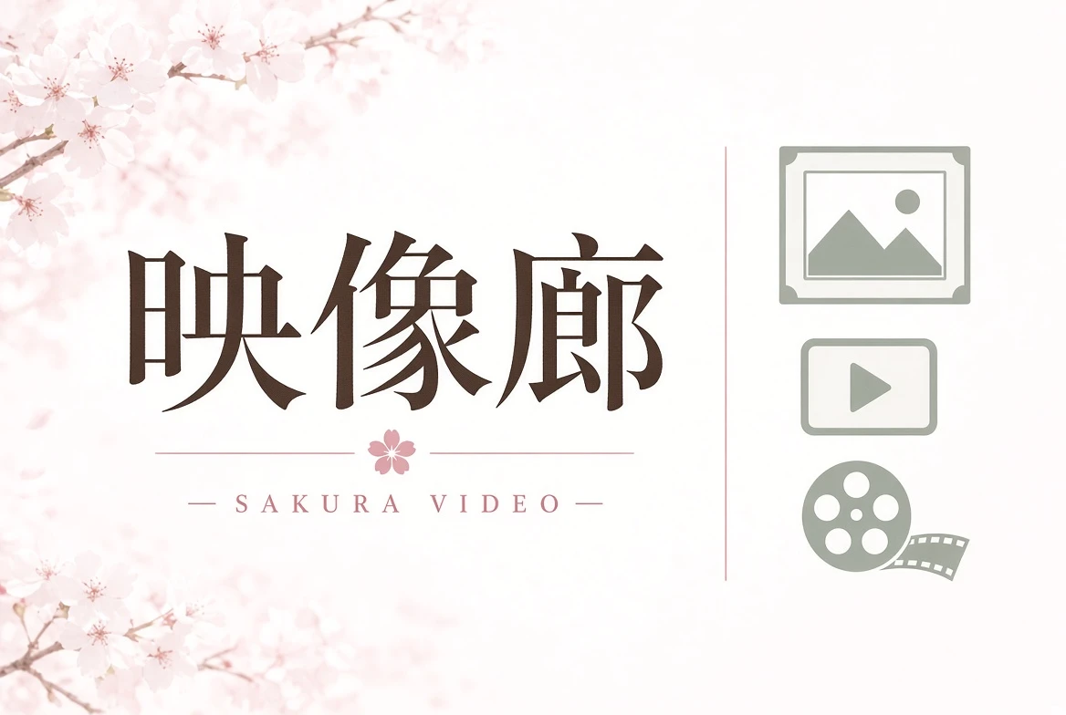 影视导览内容图